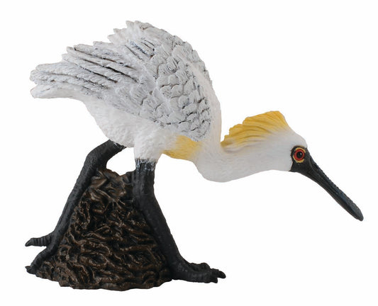 Koreaskedstork gående