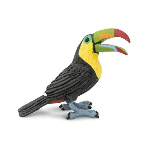 Toucan (Sulfur Toucan)