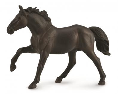 Nonius (Nonius horse), hingst
