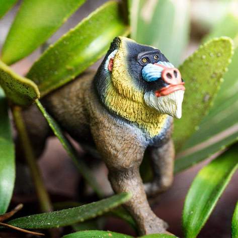 Mandrill