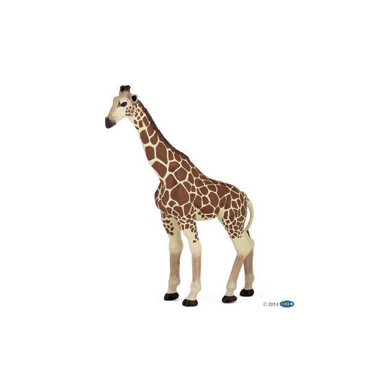 Giraff