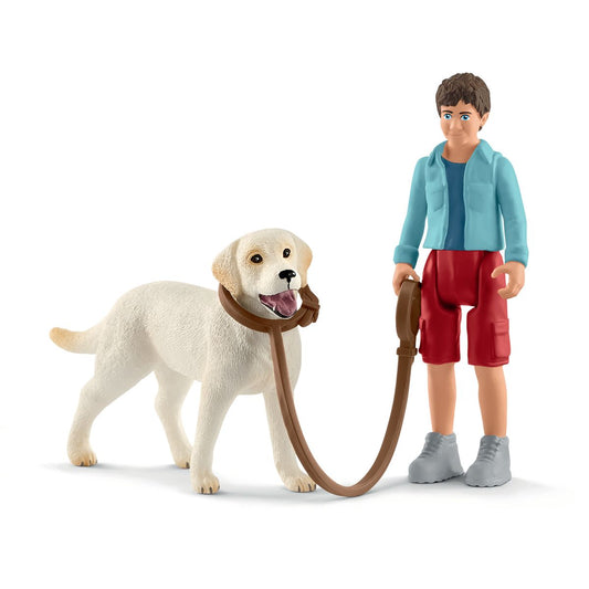 Promenad med labrador retriever