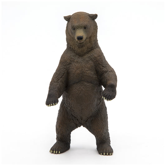 Handmålad Papo grizzlybjörn stående med tjock brun päls och kraftig kroppsbyggnad, realistisk vilddjursfigur inspirerad av Nordamerika.