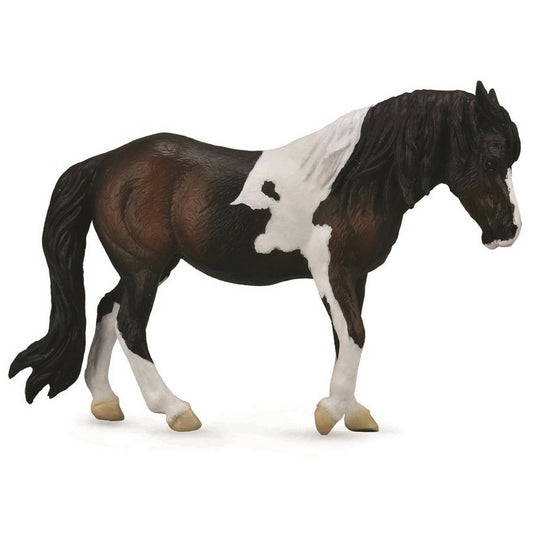 Dartmoor Hill Mare - Bay