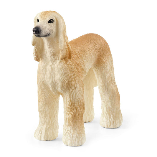 Greyhound