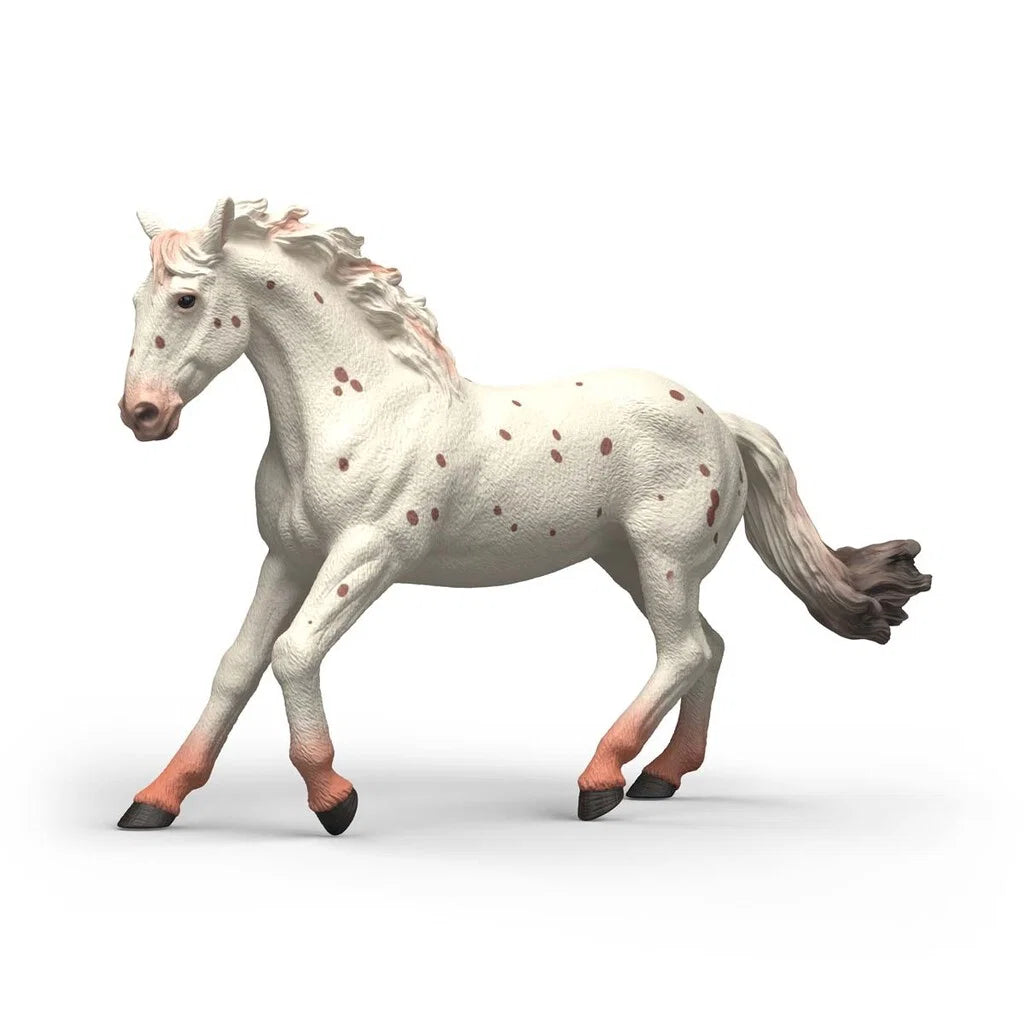 Schleich Knabstrupper sto figur med vit päls och bruna prickar, realistisk modell av dansk hästras i galopp.