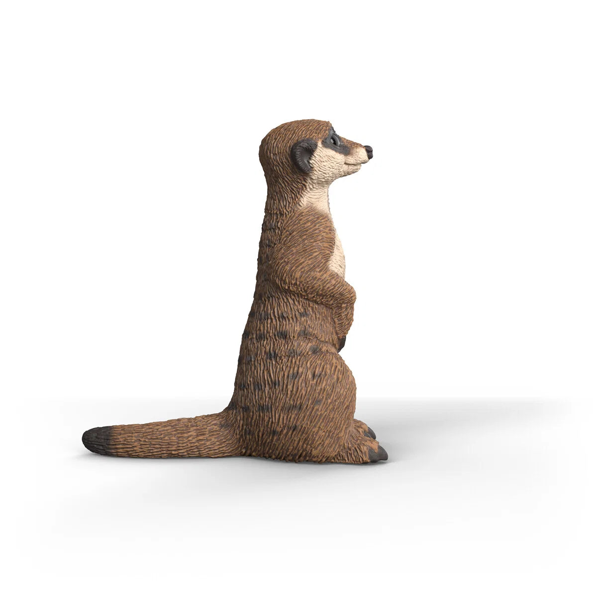 Schleich - Surikat
