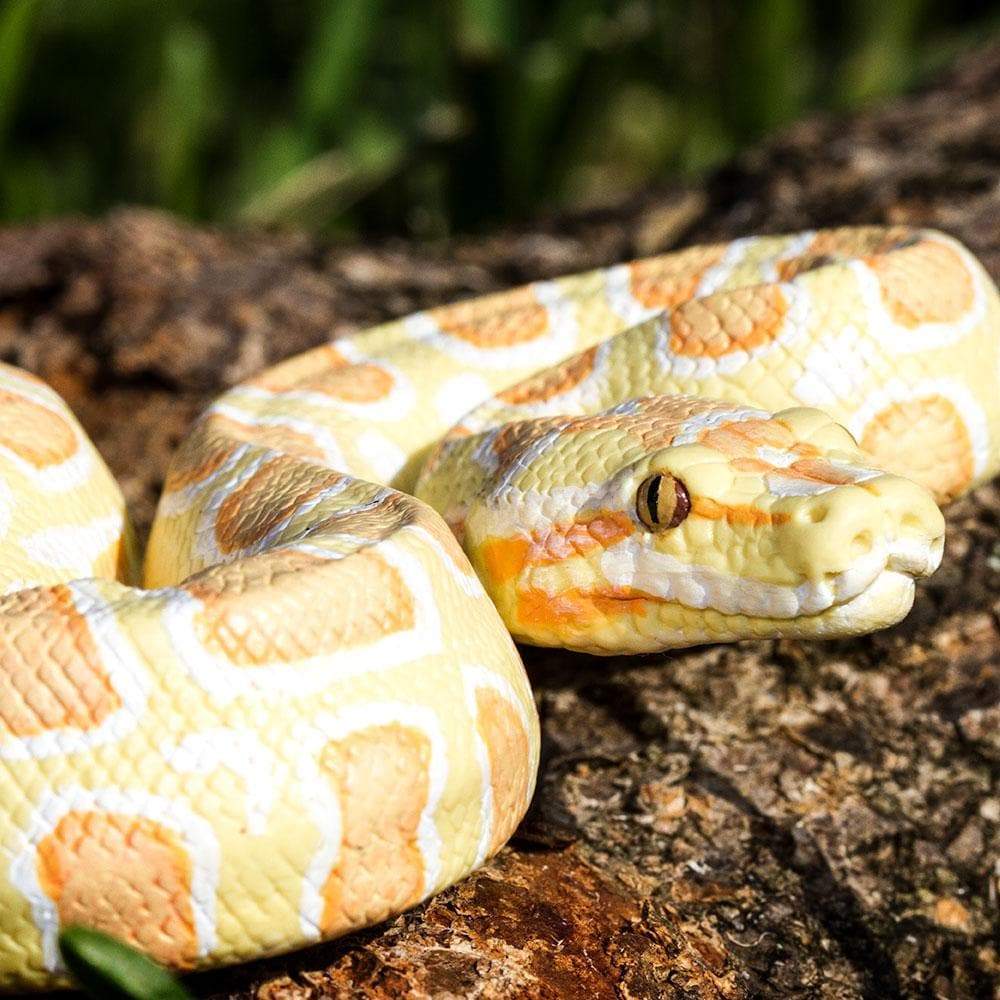 Safari Ltd - Burmesisk pyton Albino (stor modell)