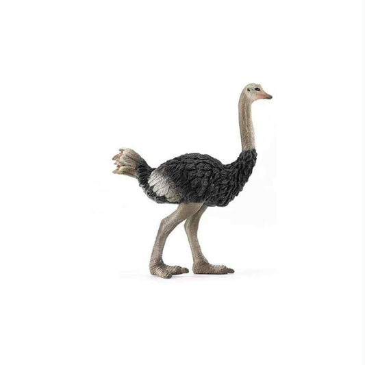 CollectA - Struts