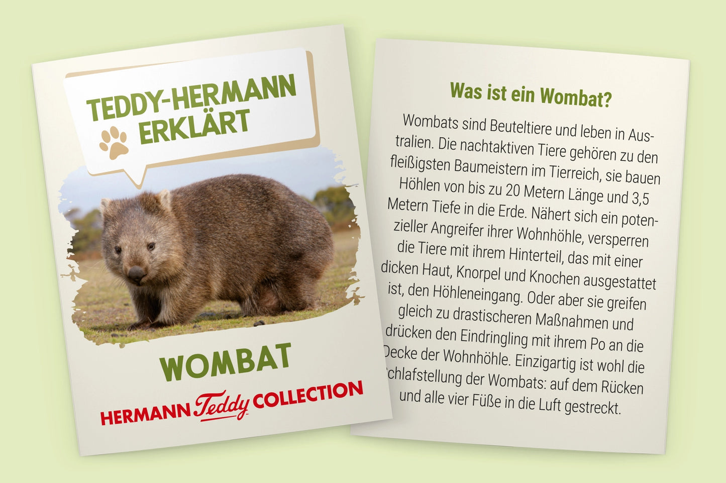 Hermann Teddy - Vombat Gosedjur