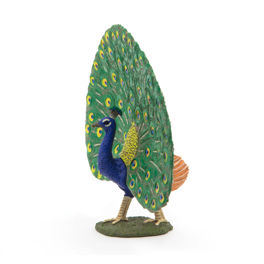 Papo - Peacock