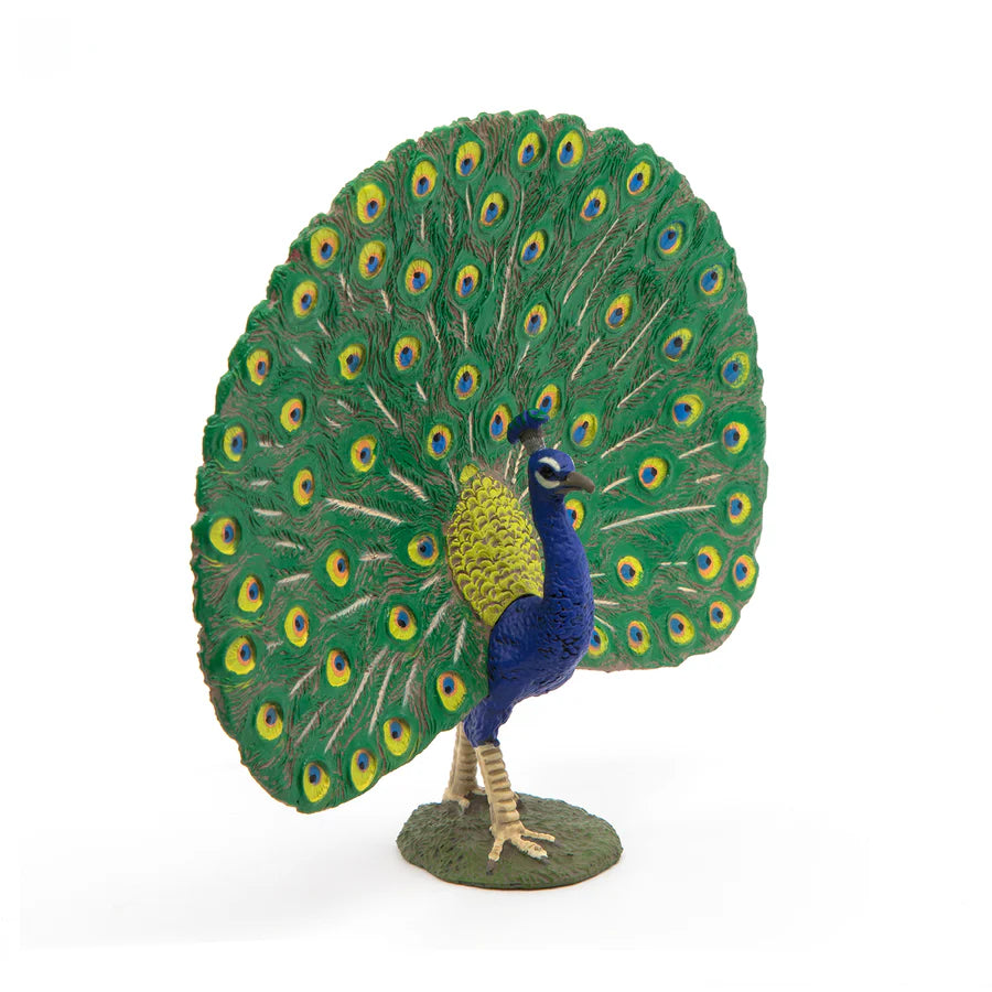 Papo - Peacock
