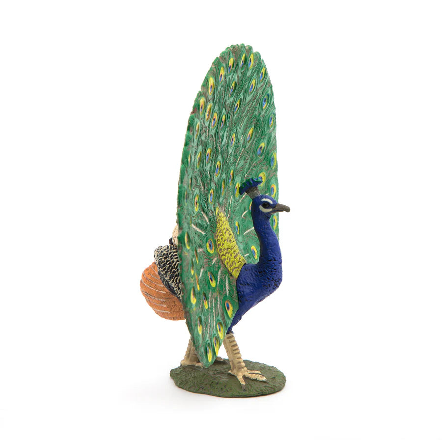Papo - Peacock