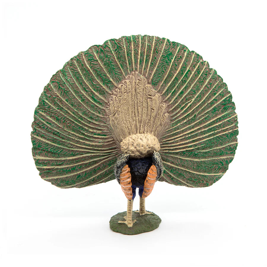 Papo - Peacock