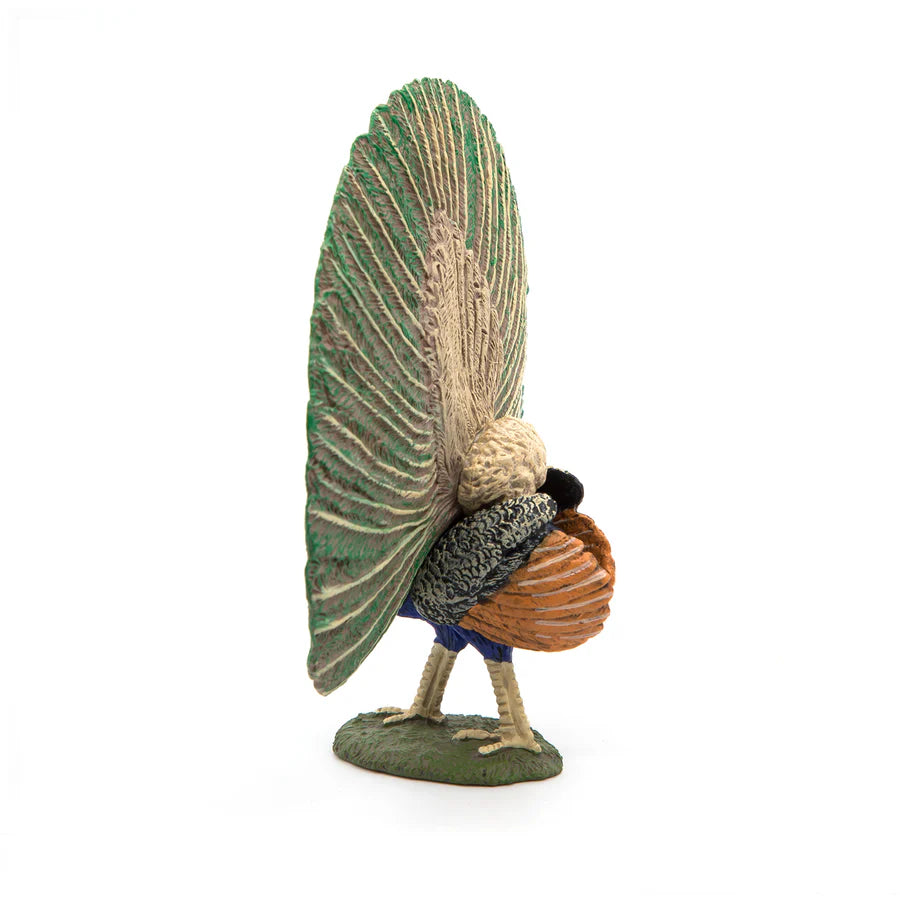 Papo - Peacock