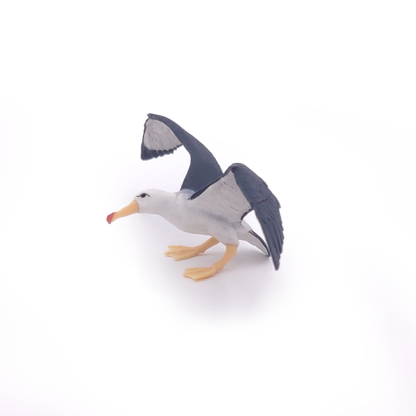 Papo - Albatross