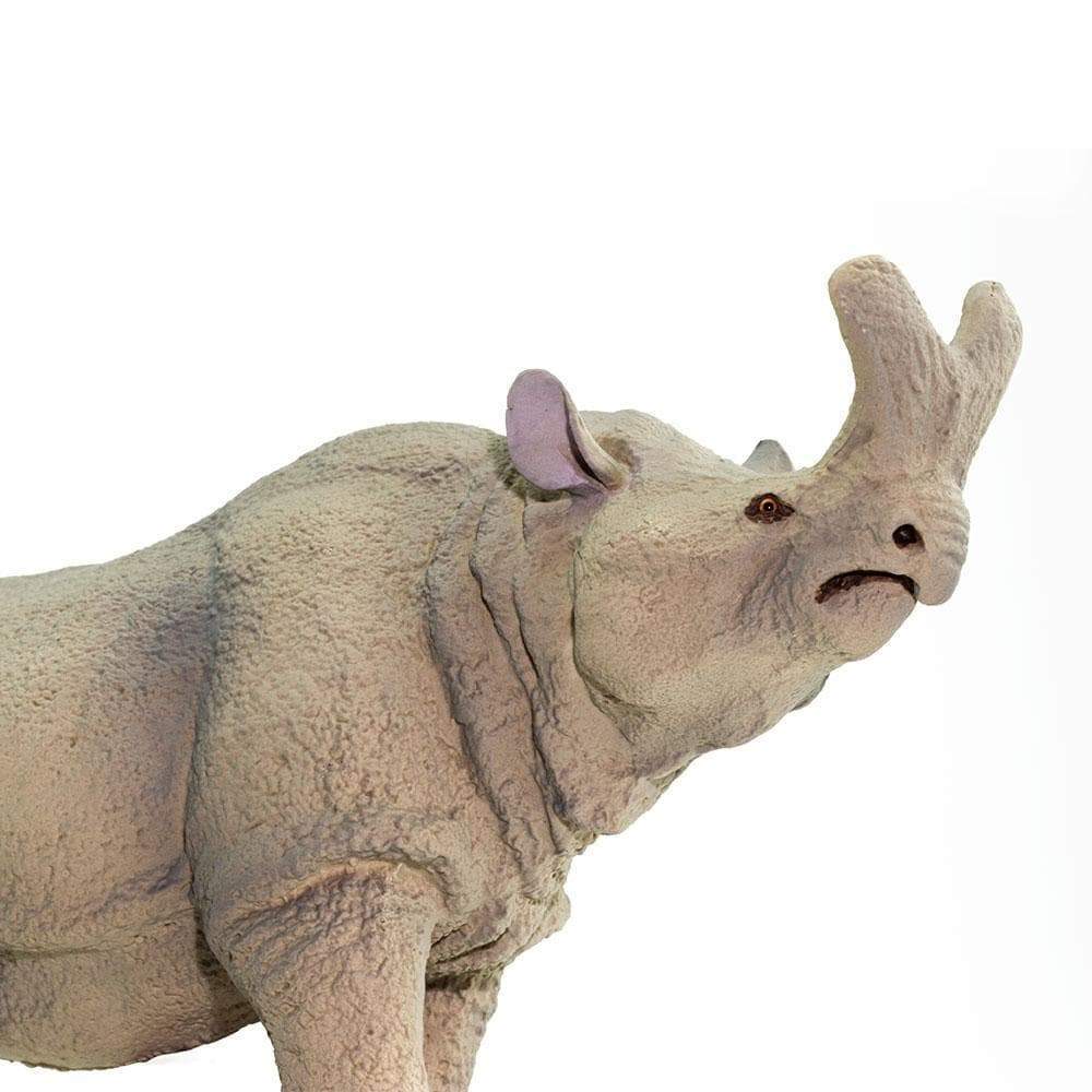 Safari Ltd - Megacerops