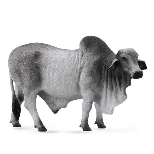 CollectA - Brahman Tjur