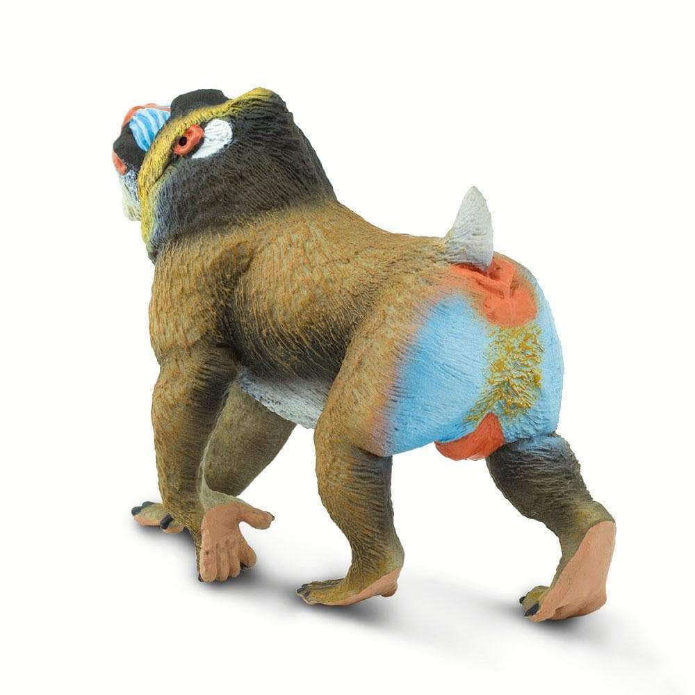 Safari Ltd - Mandrill