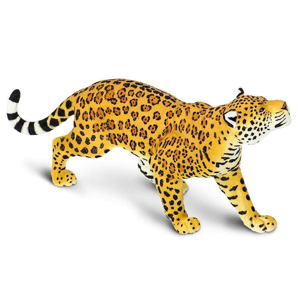 Jaguar (Scale: 1:6)