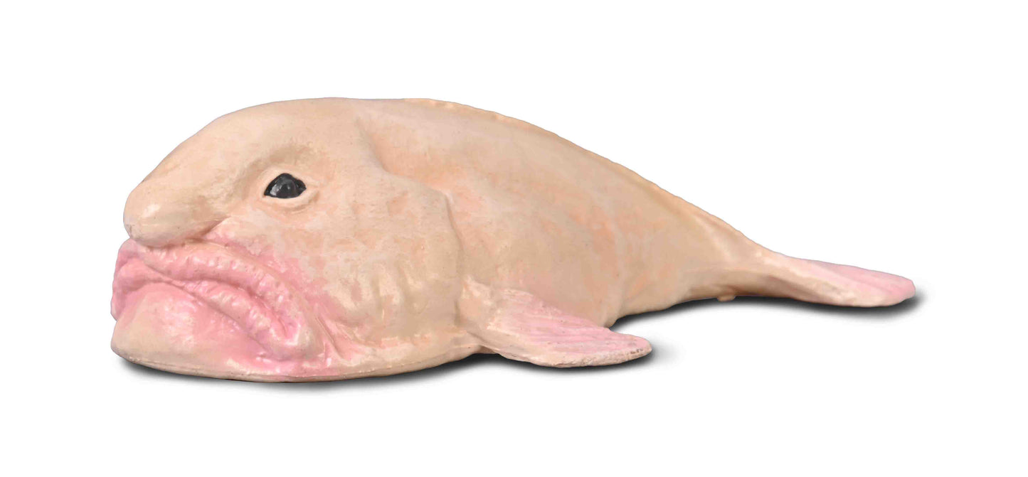 CollectA - Blobfisk (Psychrolutes marcidus)