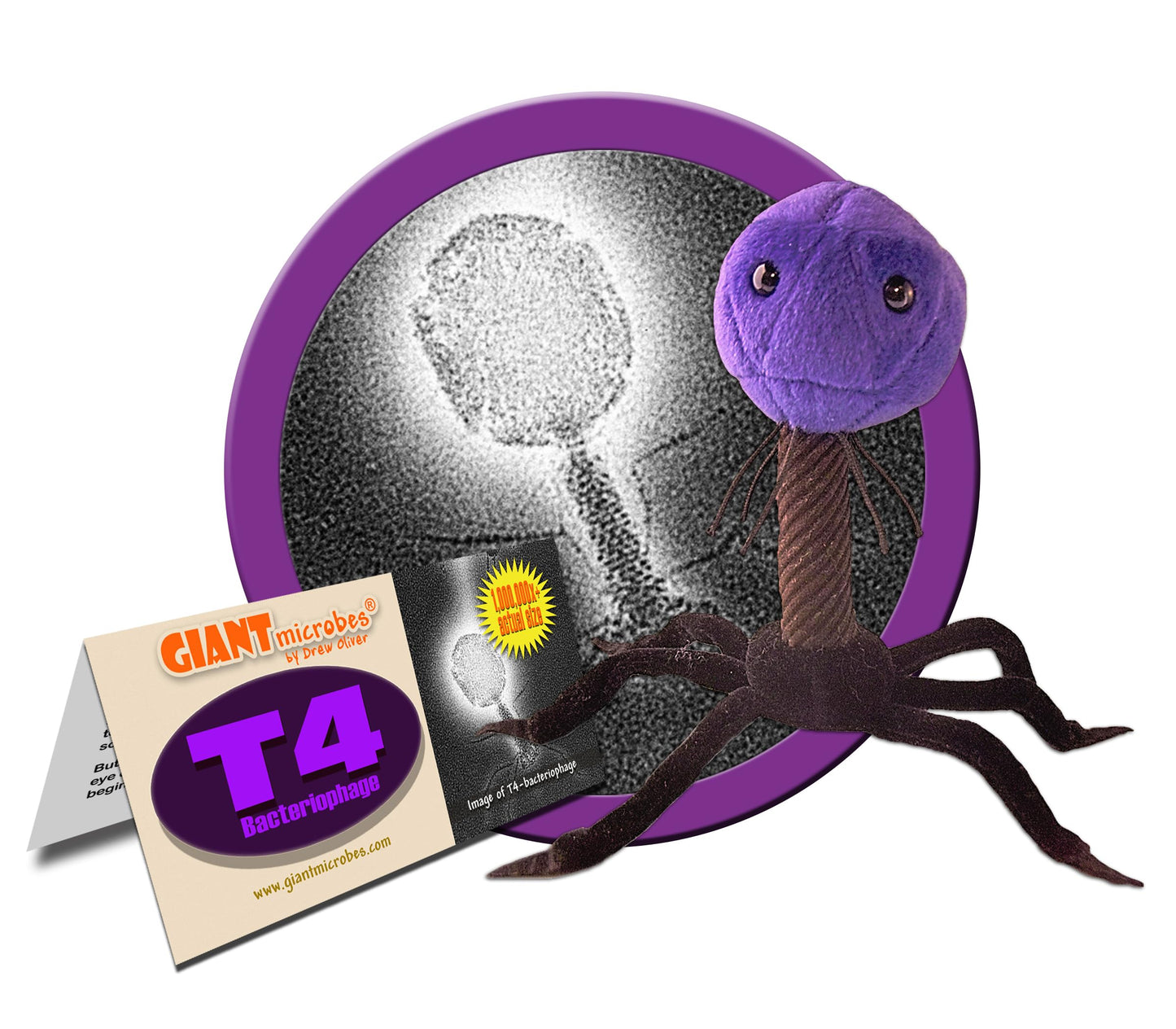 GIANTmicrobes – T4 Bakteriofag (T4-Bacteriophage) Plysch