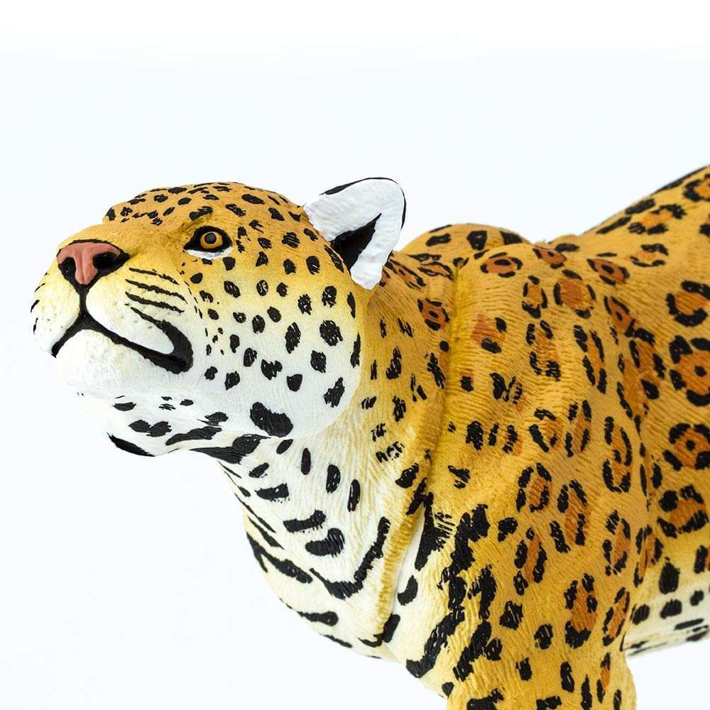 Jaguar (Scale: 1:6)