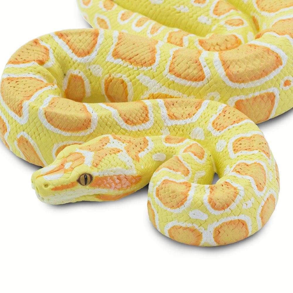 Safari Ltd - Burmesisk pyton Albino (stor modell)
