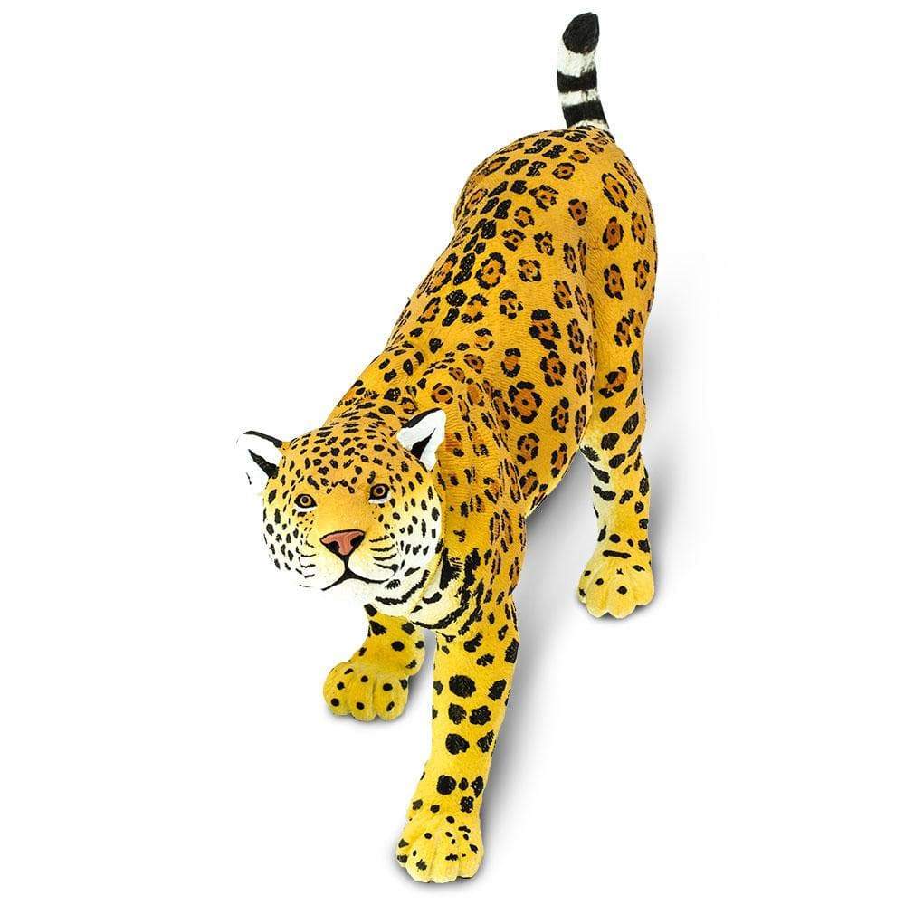 Jaguar (Scale: 1:6)