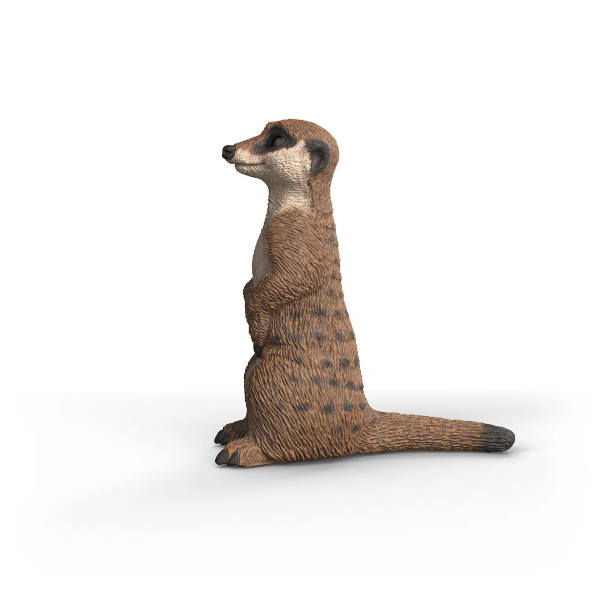 Schleich - Surikat