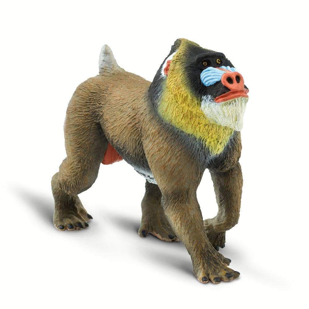 Safari Ltd - Mandrill
