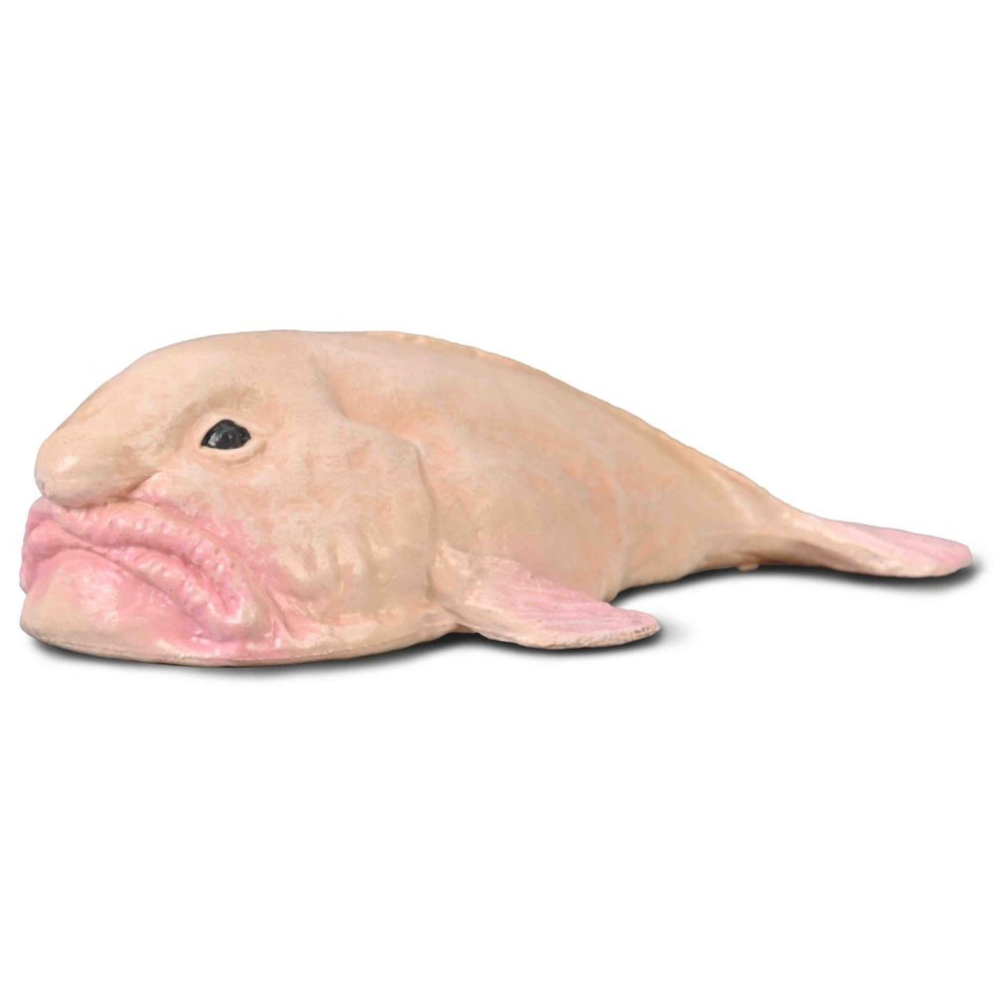 CollectA - Blobfisk (Psychrolutes marcidus)