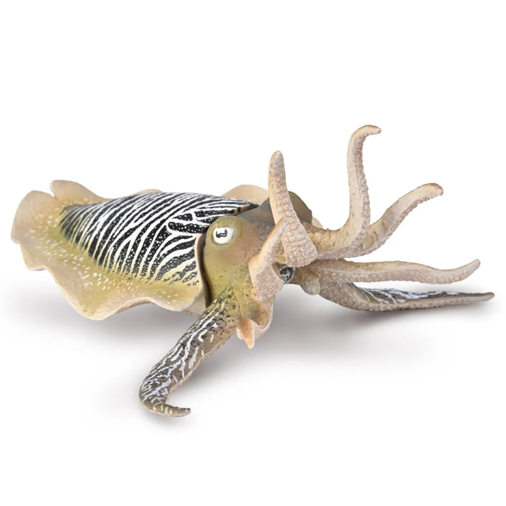 CollectA - Sidensepia (Common Cuttlefish)