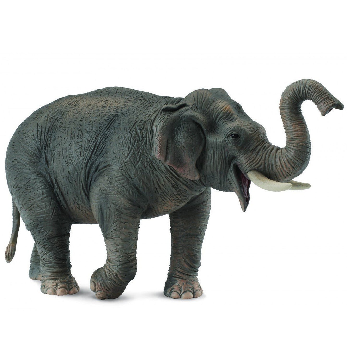 CollectA - Asiatisk Elefant