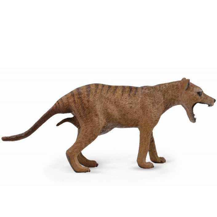"CollectA Pungvarg hona – handmålad modell av thylacine med ryggstrimmor"