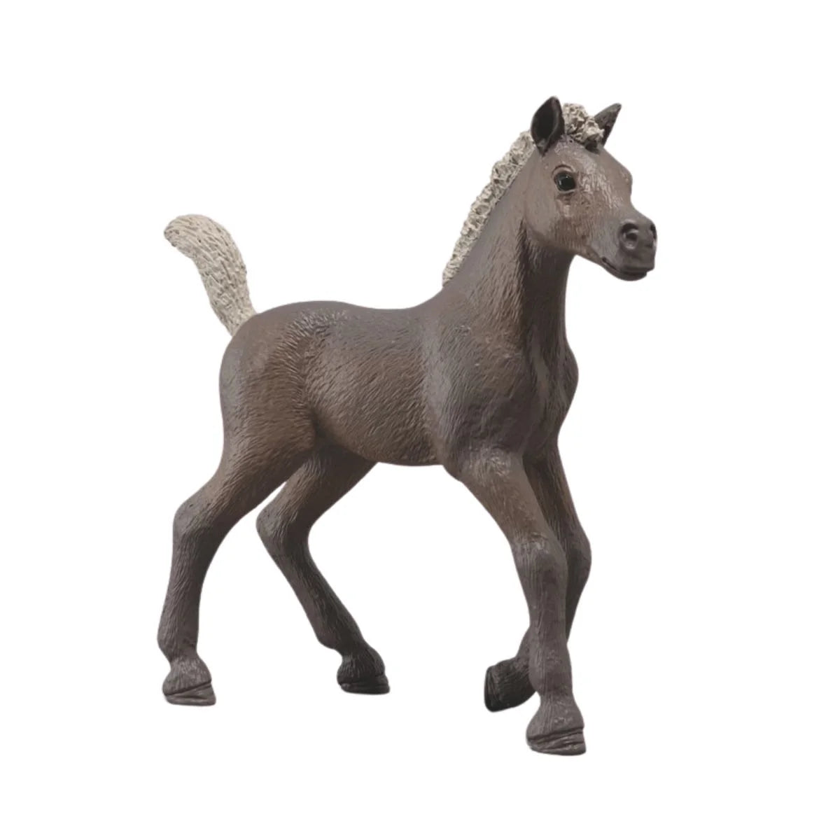 Schleich Samlarföl Darcy – Limited Edition med gråbrun päls, ljus man och svans samt medföljande samlarposter från HORSE CLUB.