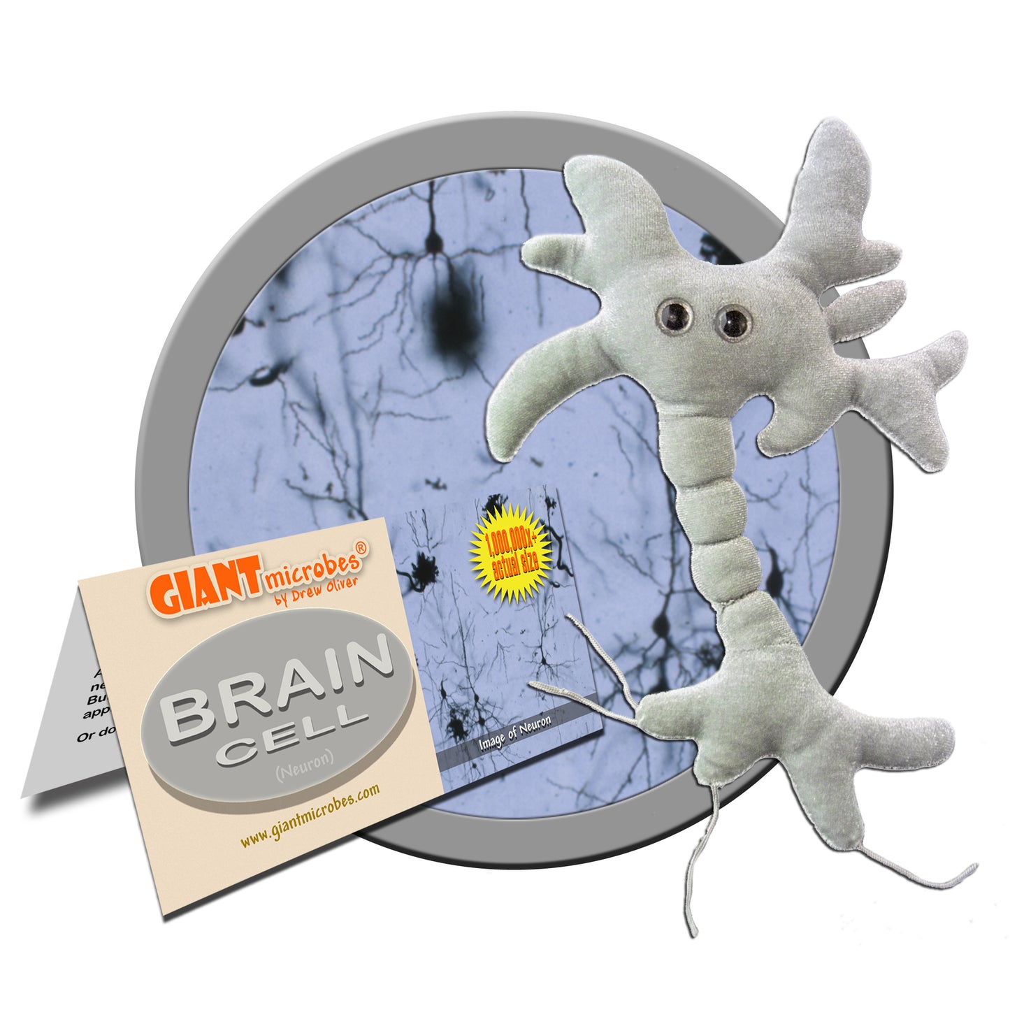 GIANTmicrobes - Hjärncell (Neuron)