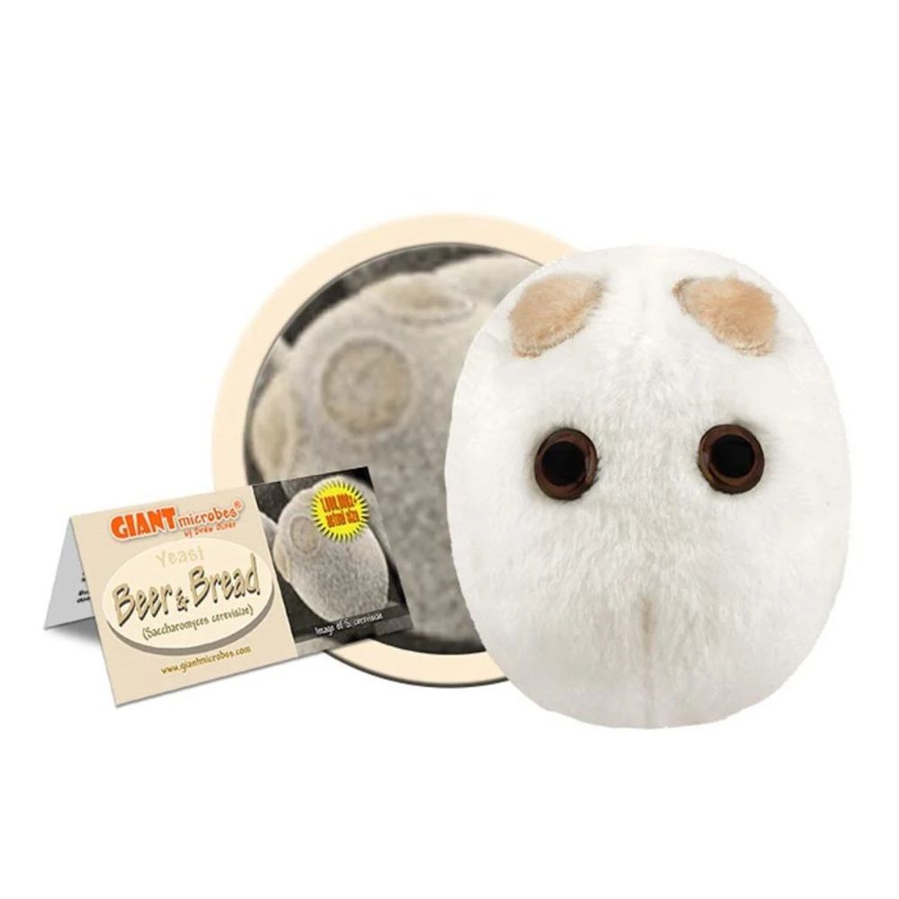 GIANTmicrobes plyschfigur av bagerijäst Saccharomyces cerevisiae – mjuk mikrobbaserad figur för bakning, bryggning och vetenskap.
