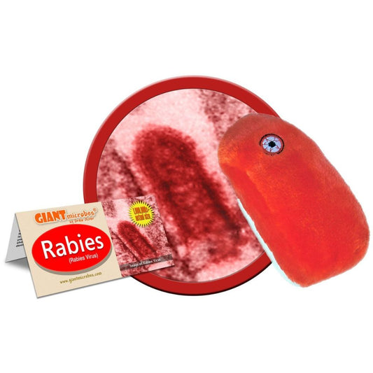 GIANTmicrobes rabies plyschfigur i röd färg med broderade ögon, inspirerad av rabiesvirus och använd som pedagogisk modell.