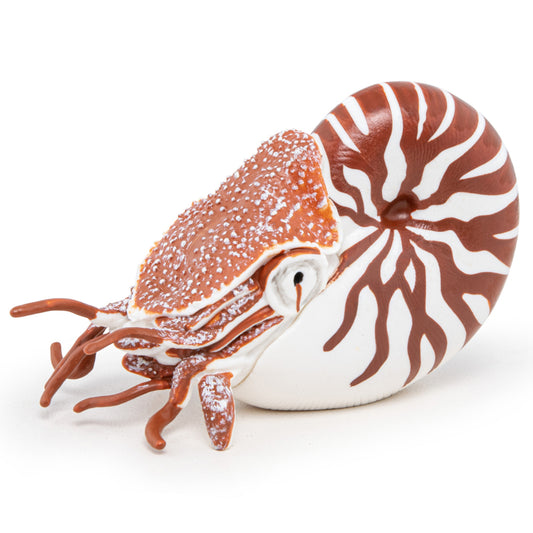 ”Papo nautilus – handmålad figur med randigt spiralformat skal och detaljrika tentakler.”