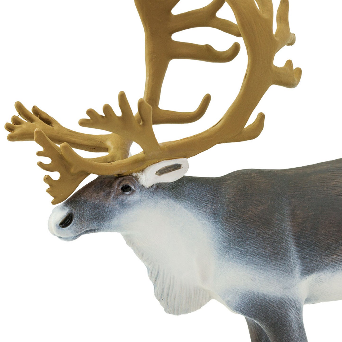 Safari Ltd - Ren (Caribou)