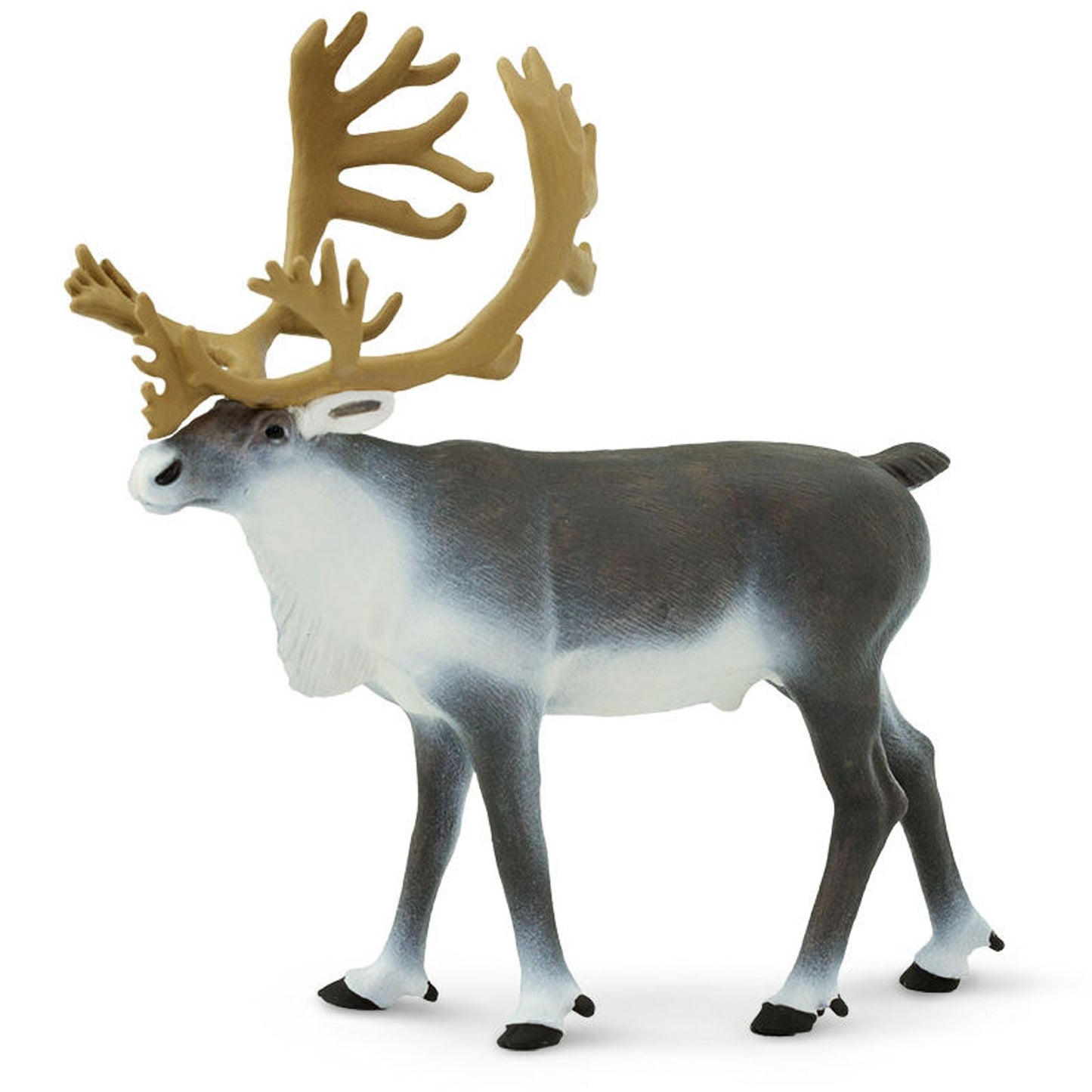 Safari Ltd - Ren (Caribou)