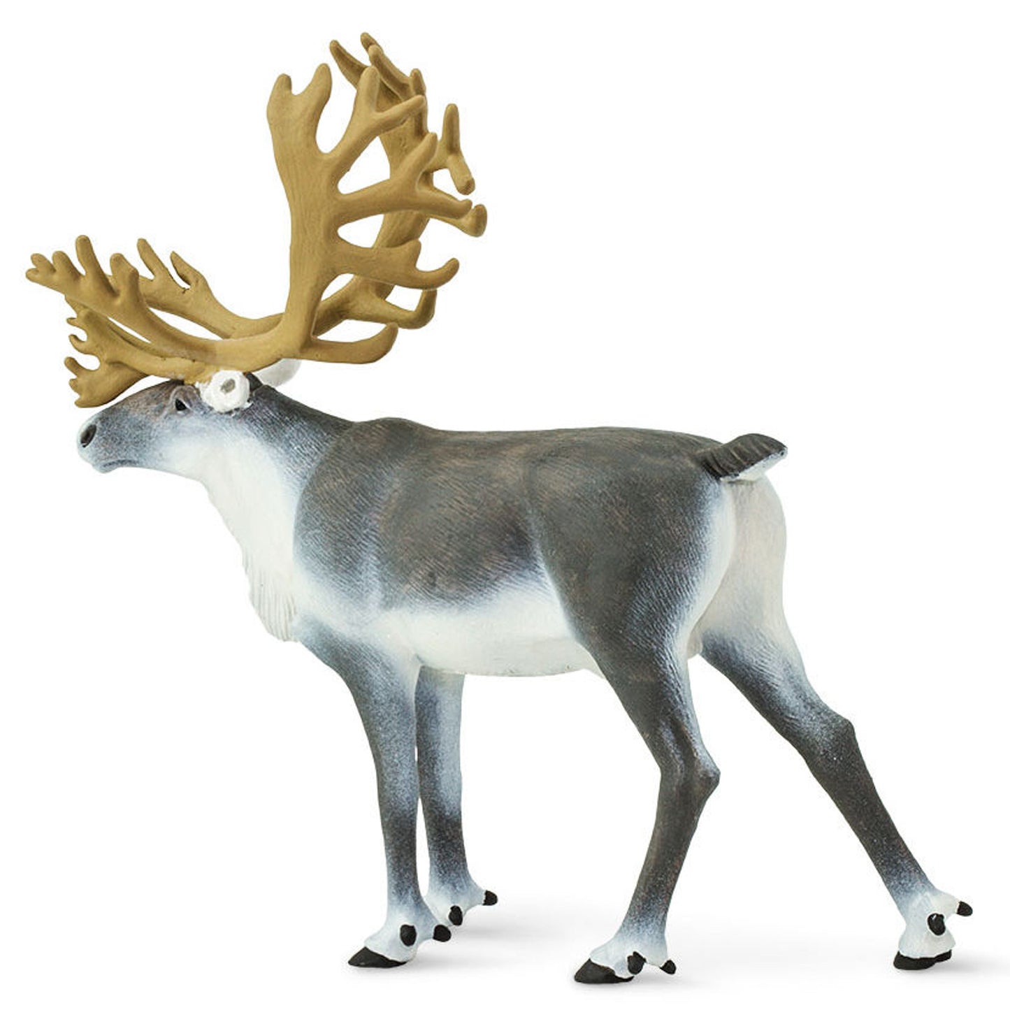 Safari Ltd - Ren (Caribou)
