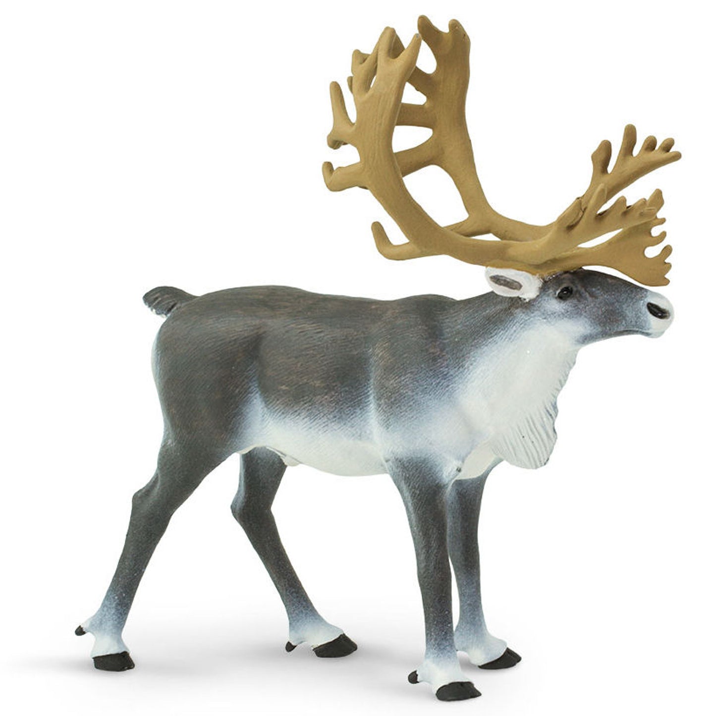 Safari Ltd - Ren (Caribou)