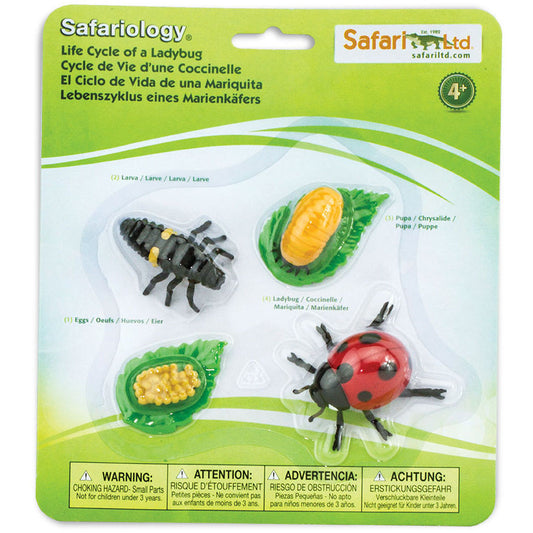 "Safari Ltd Livscykel av en nyckelpiga – modeller av ägg, larv, puppa och vuxen nyckelpiga"
