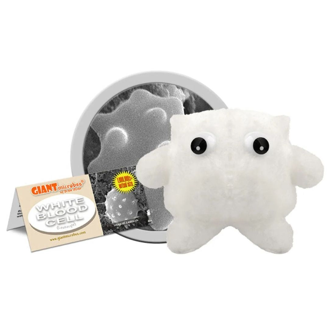 GIANTmicrobes vita blodkroppar plysch, mjuk modell av leukocyt som illustrerar kroppens immunförsvar.