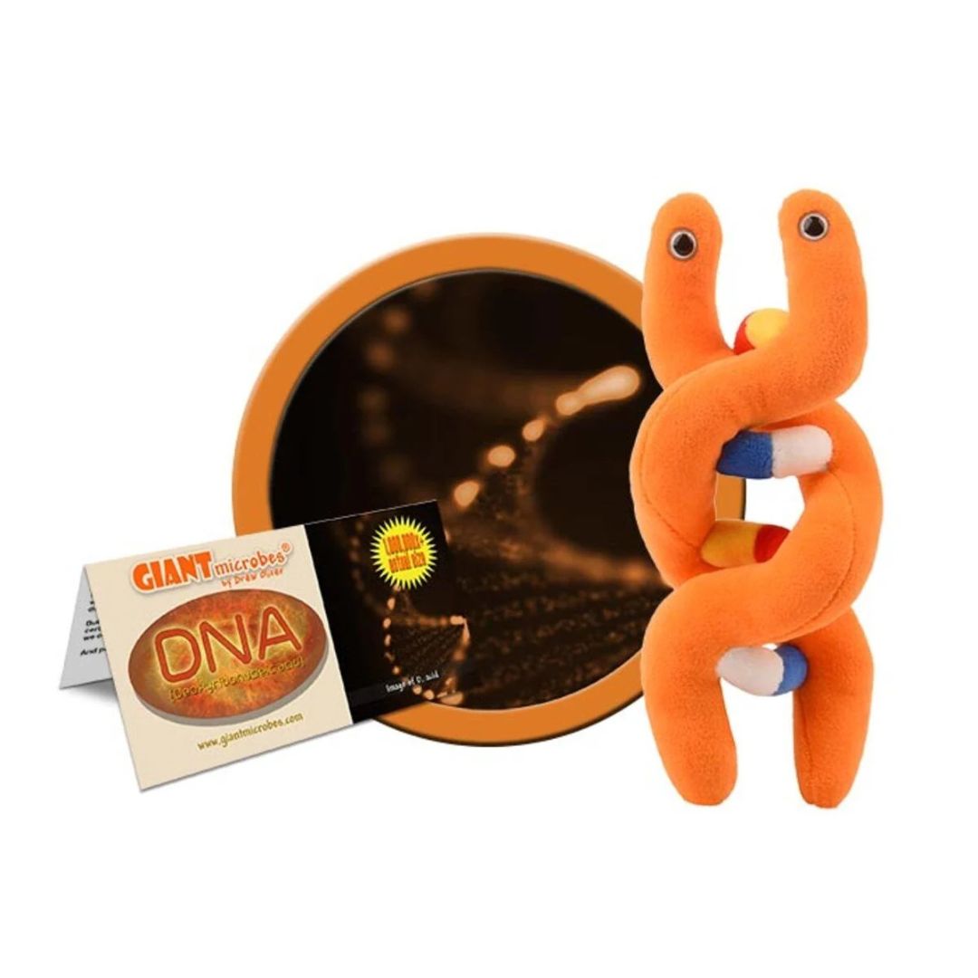 GIANTmicrobes DNA plysch i färgglad dubbelhelix, pedagogisk modell av genetisk struktur.