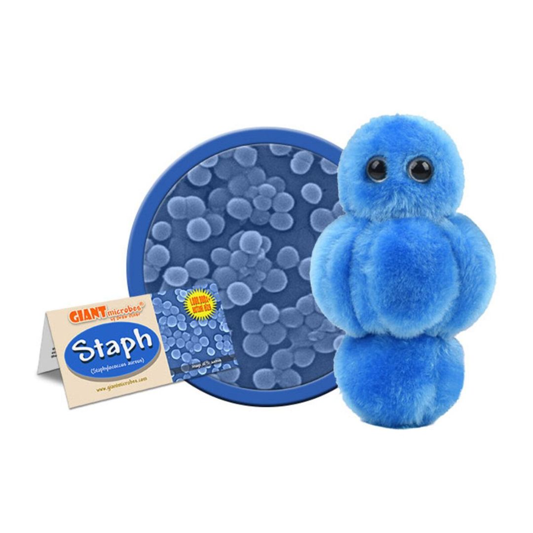 GIANTmicrobes Staph plysch, mjuk bakteriemodell av Staphylococcus aureus i klusterform.
