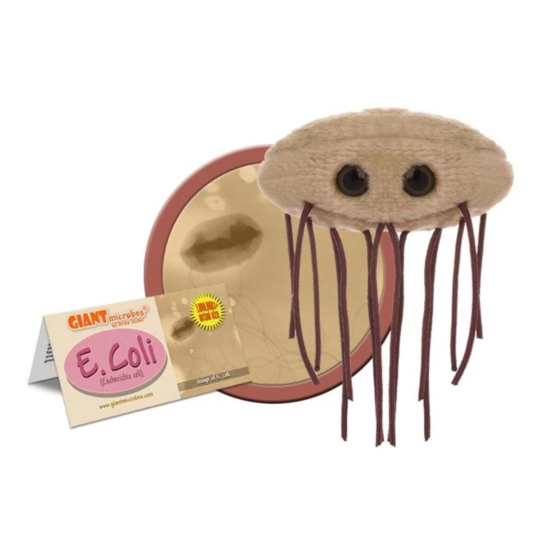 GIANTmicrobes E. coli plysch med flageller, mjuk bakteriemodell som illustrerar kolibakterier och tarmhälsa.