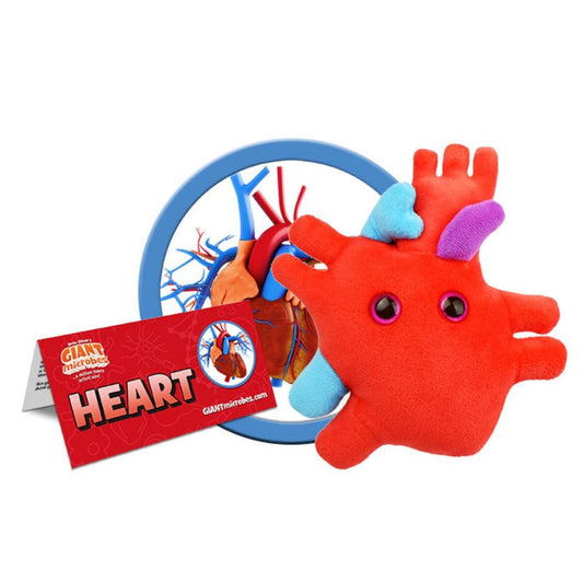 GIANTmicrobes hjärta plysch med anatomiska detaljer som aorta och kärl, pedagogisk modell av hjärtat.